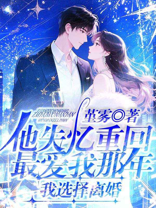 他失忆重回最爱我那年，我选择离婚小说
