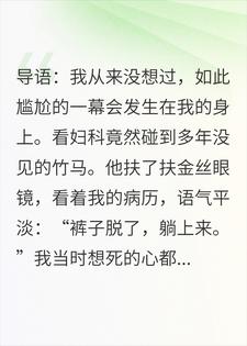 我挂妇科号，主治医生是我竹马苏然陆询小说完整篇在线阅读