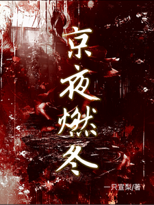 京夜燃冬小说