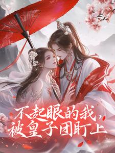 不起眼的我，被皇子团盯上小说