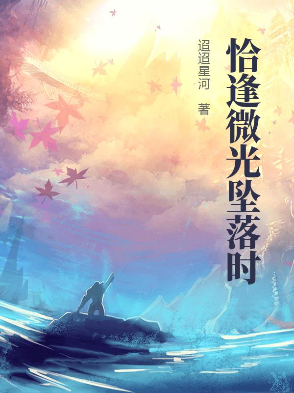 恰逢微光坠落时