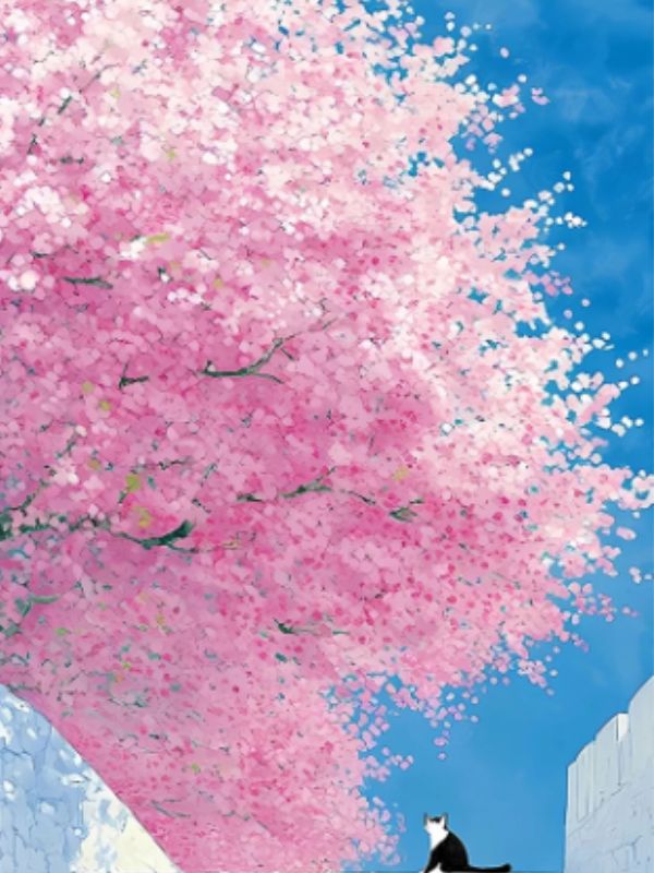 我的修炼方式是笑纳