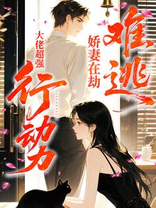 大佬超强行动力，娇妻在劫难逃