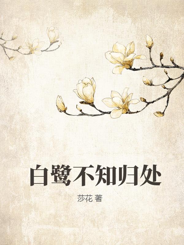 白鹭不知归处