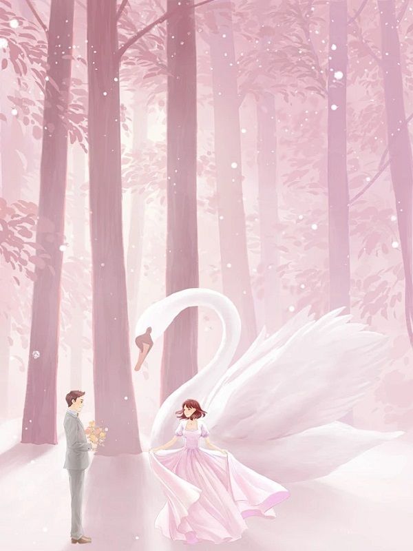 心口的疤，与你皆落幕小说