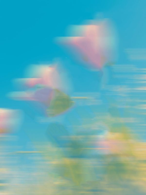 在绝嗣的皇宫里&ldquo;装不孕&rdquo;苏瑶若兰小说完整篇在线阅读