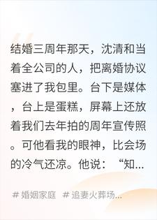 他不要的妻子，成了别人白月光