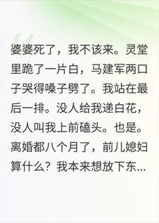 前婆婆葬礼上翻支付宝账单，12万全进了弟弟卡小说