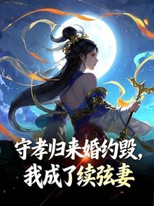 守孝归来婚约毁，我成了续弦妻小说