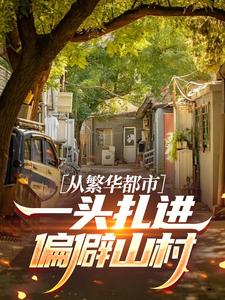 从繁华都市，一头扎进偏僻山村小说