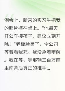 被举报公车私用，他不知道整个公司是我的小说