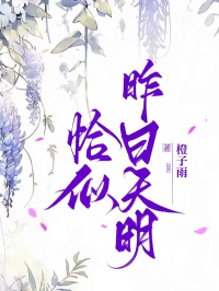 恰似昨日天明小说