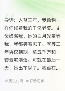 林谦苏凝 协议到期：千亿老婆车祸后我笑疯了完结版在线阅读