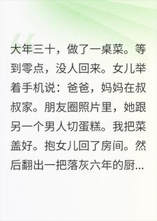 纪衍苏念瑶 除夕做了一桌菜，老婆在别人家过年完结版在线阅读