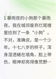 暴雨夜，我捡到了一个忠犬弟弟