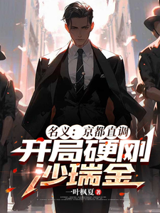 名义：京都直调，开局硬刚沙瑞金小说