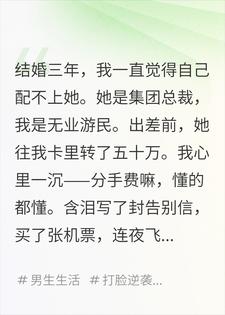 老婆转了五十万，我以为是分手费，连夜跑路了陆辞苏念小说完整篇在线阅读
