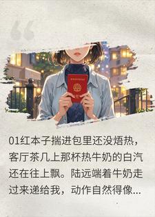 苏念陆远 领证当天他逼我卖房给婆婆盖别墅，我转身就走完结版在线阅读