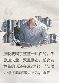 那个被我醉酒搂住的女人，陪我熬过了最难熬的三年陆辰苏晚小说完整篇在线阅读